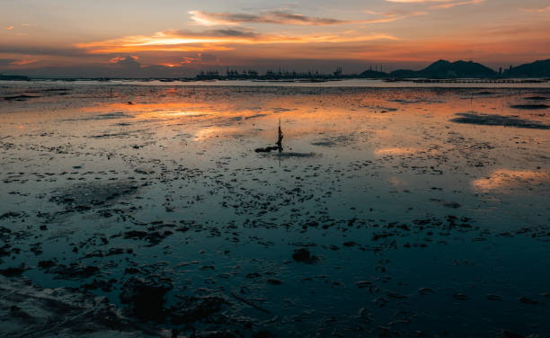 Desolate sunset of golden hues over the