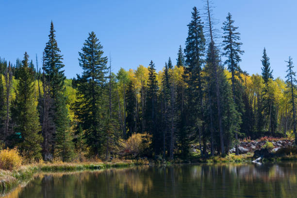 istock Jumbo Reservoir in Late September 1428854395