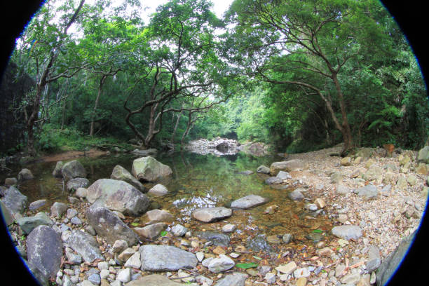 istock Shing Mun Reservoir Creek,  Shing Mun Reservoir 8 Oct 2011 1428859861