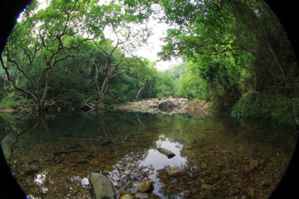 istock Shing Mun Reservoir Creek,  Shing Mun Reservoir 8 Oct 2011 1428859862