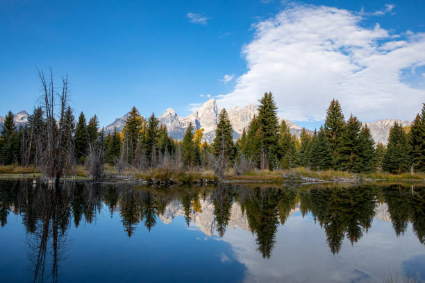istock grand teton national park 1428860801