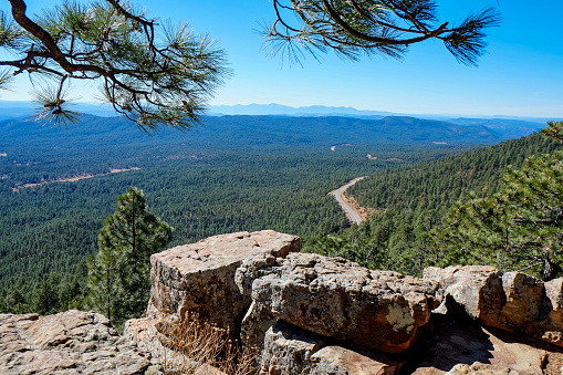 Mogollon Rim viewpoint of forest and road below, Arizona