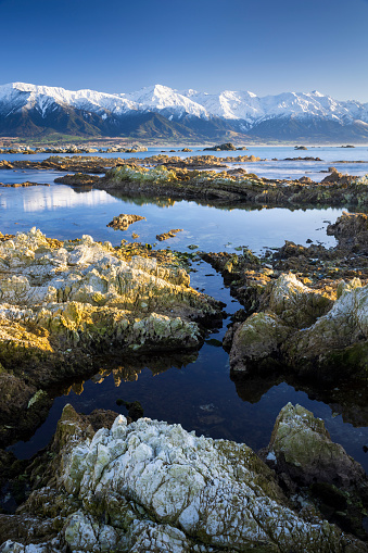 Kaikoura, New Zealand, where the mountains meet the sea. On a calm winter's morning, looking north towards the snow-capped mountains. Due to a powerful 7.8 magnitude earthquake in 2016, a 20km stretch of the Kaikoura coastline was lifted by up to 2 metres, so the rocks in the foreground would probably have been under water before the quake.