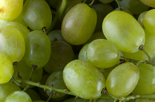 Fresh white grapes in sharp focus.