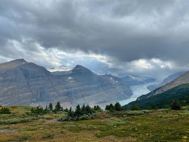 Parker Ridge Parker Ridge, accessed from the Icefields Parkway, offers stunning views of peaks and glaciers in Banff National Park, Alberta, Canada. saskatchewan glacier stock pictures, royalty-free photos & images