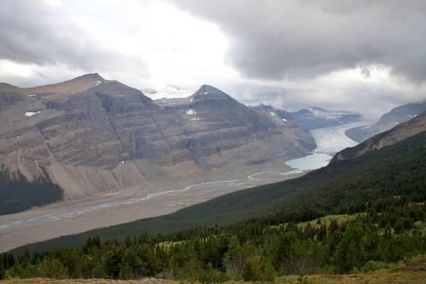 Parker Ridge Parker Ridge, accessed from the Icefields Parkway, offers stunning views of peaks and glaciers in Banff National Park, Alberta, Canada. saskatchewan glacier stock pictures, royalty-free photos & images