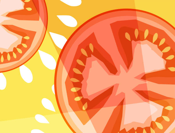 Abstracted close-up cross- section of tomatoes. Abstract vegetable design in flat cut out style. Close-up cross-section of tomatoes. Vector illustration. tomato slice stock illustrations