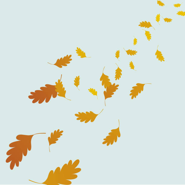 ilustraciones, imágenes clip art, dibujos animados e iconos de stock de fondo ventoso otoñal con hojas de roble que caen. - autumn leaf falling wind