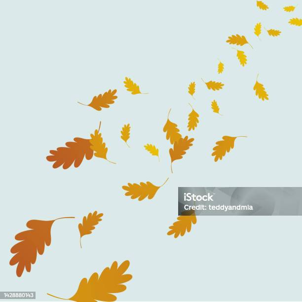 Windy Fall Pattern Autumn Windy Background With Falling Oak Leaves Stock Illustration ...