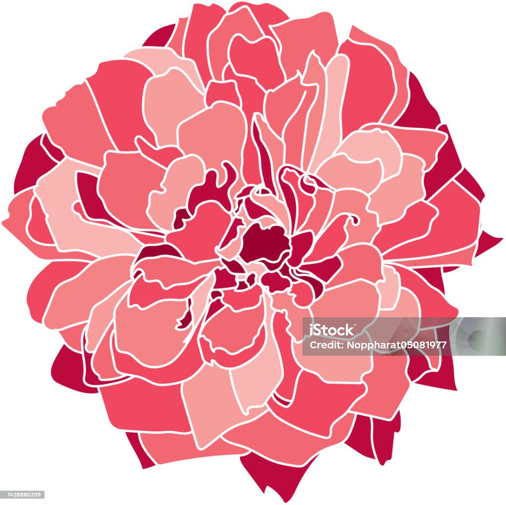 Simple Rose Vector Abstract Abstract Of Rose Flower On White Background Stock Illustration ...