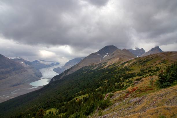 Parker Ridge Parker Ridge, accessed from the Icefields Parkway, offers stunning views of peaks and glaciers in Banff National Park, Alberta, Canada. saskatchewan glacier stock pictures, royalty-free photos & images