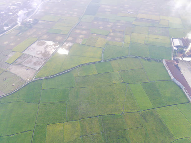 istock Aerial rice fields around factories and industrial areas 1428880746