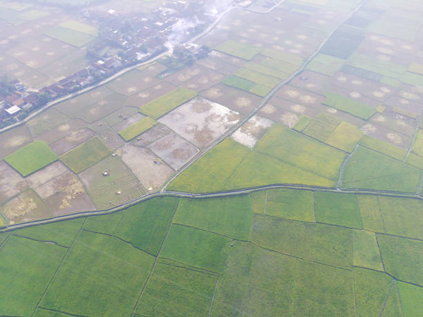 istock Aerial rice fields around factories and industrial areas 1428880747