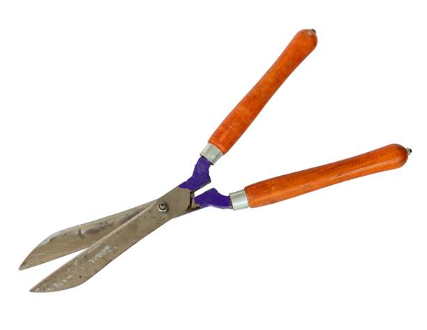 istock Hedge pruning shears isolated on a white background 1428900259