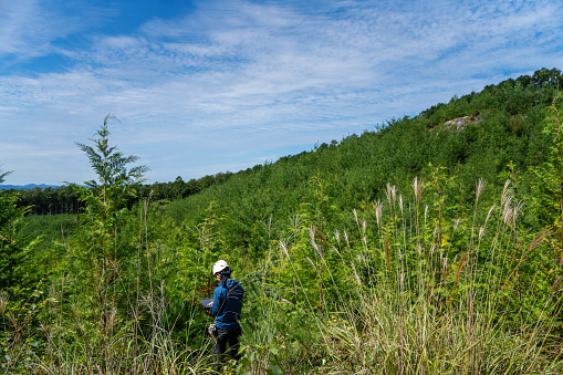 A mid adult forestry worker using a digital tablet at a selective logging site in Japan