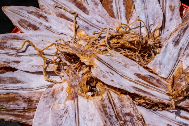 istock Squid Dried Food 1428902493