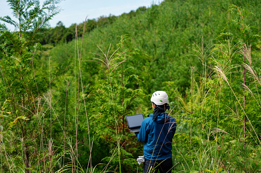 A mid adult forestry worker using a digital tablet at a reforested logging site in Japan