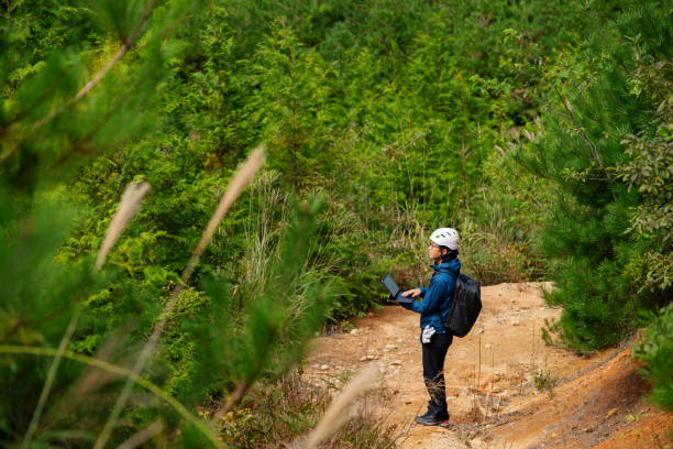 pracownik leśny korzystający z tabletu cyfrowego w miejscu ponownego zalesiania - lumber industry reforestation tree forest zdjęcia i obrazy z banku zdjęć