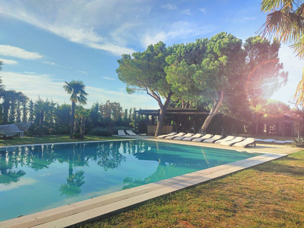 istock Backyard oasis with a swimming pool inside a private residential backyard 1428909687
