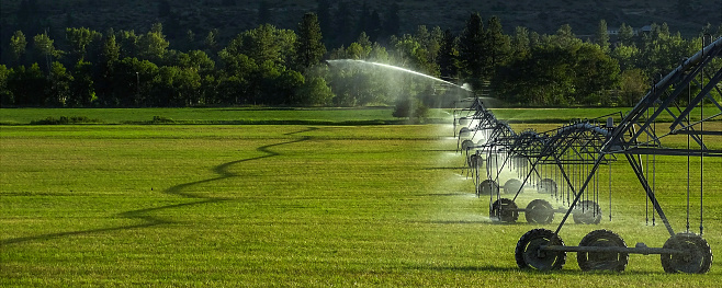 A green agricultural field being irrigated by a center pivot system