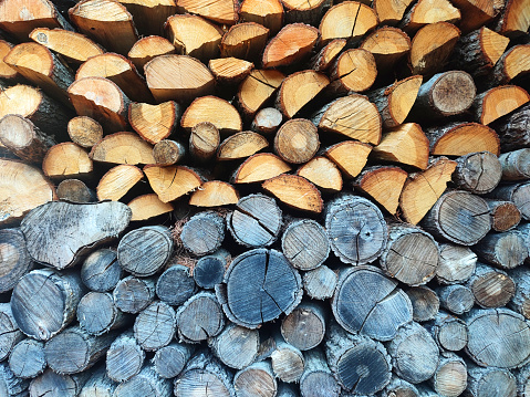 Firewood Woodpile background