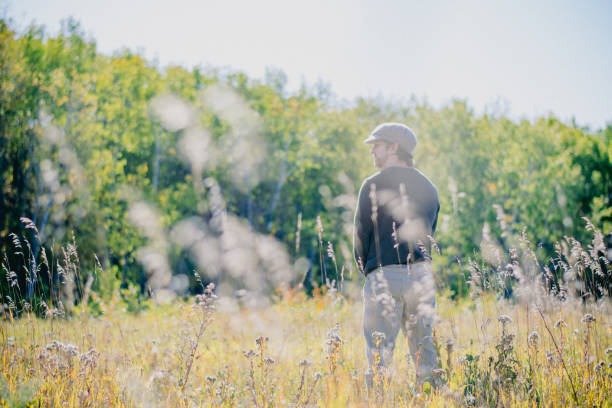 Free Stock Photo of Man Standing in Field of Tall Grass | Download Free ...