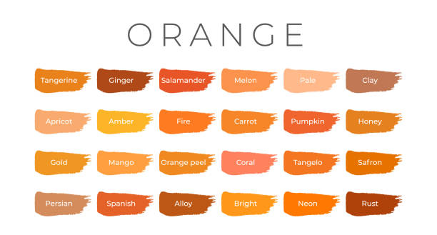 ilustrações, clipart, desenhos animados e ícones de amostras de cor de tinta laranja com nomes de sombra em pinceladas - orange tone