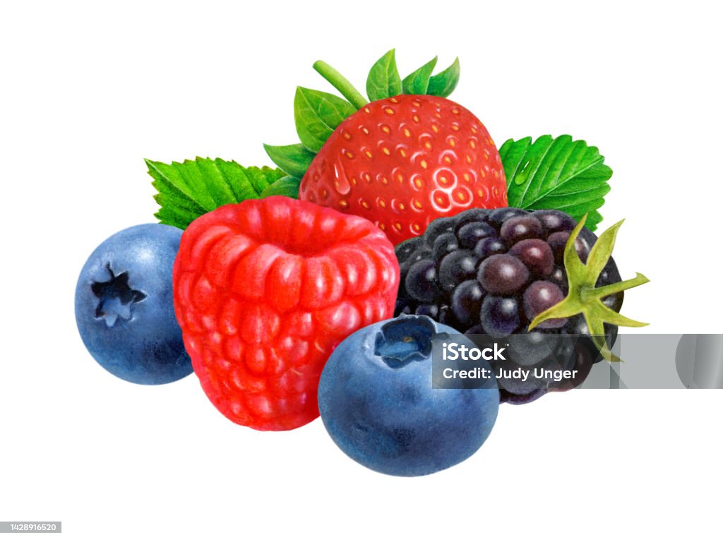 Berry Variations Berry Display Stock Illustration - Download Image Now - Berry Fruit ...