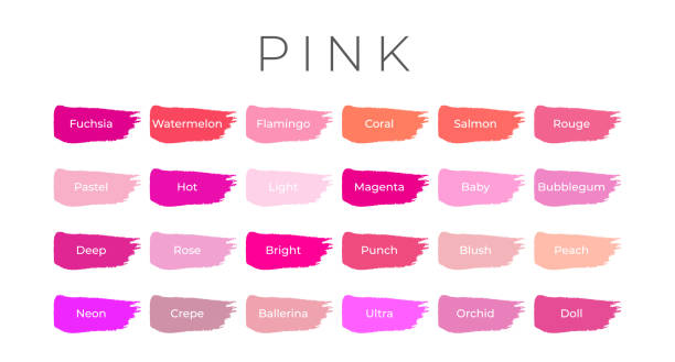 ilustrações de stock, clip art, desenhos animados e ícones de pink paint color swatches with shade names on brush strokes - blush
