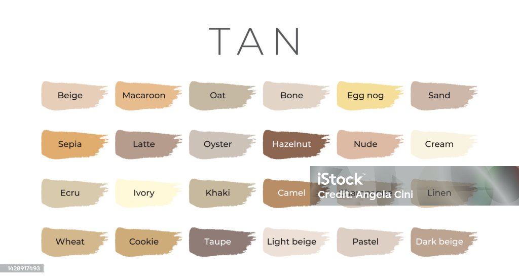 브러시 선에 음영 이름이 있는 Tan 페인트 색상 견본 고체에 대한 스톡 벡터 아트 및 기타 이미지 - 고체, 그늘, 낙타 ...