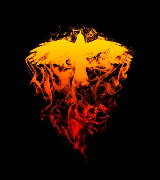 Photo of Silhouette of a flying raven with spread wings in beautiful flames, isolated on a black background. Silhouette of a flying raven on fire. Big large size.