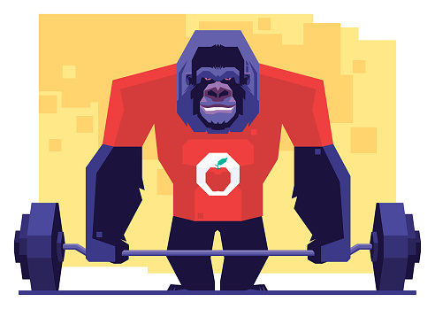 vector illustration of gorilla weightlifting