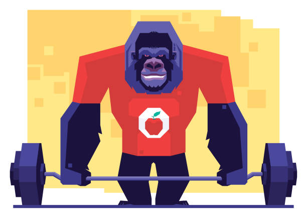 gorilla weightlifting vector illustration of gorilla weightlifting gorilla ape macho monkey stock illustrations