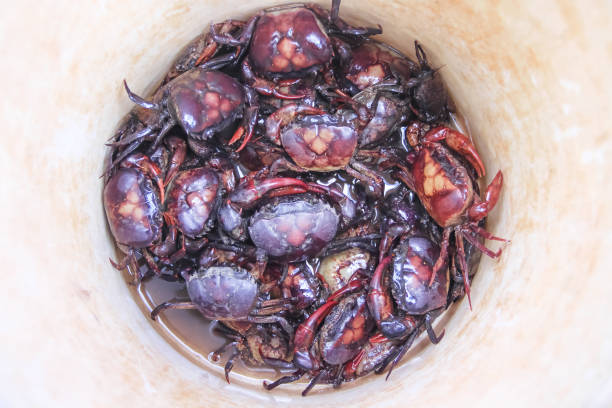 Rice field crabs (sayarmia freshwater) in bucket top view background