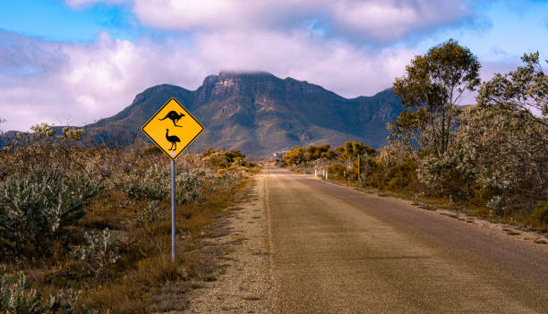 Entrance to Bluff Knoll road  of the Stirling Range National Park Western Australia Entrance to Bluff Knoll road  of the Stirling Range National Park Western Australia.  Road sign depicts kangaroo and emu's as potential road hazards. bluff knoll stock pictures, royalty-free photos & images