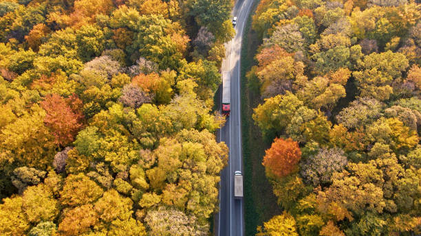 istock Vehicles driving on the road going through the forest 1428932095