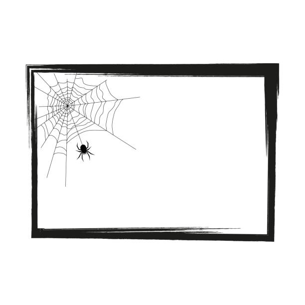 grunge-rahmen. im rahmen einer spinne auf einem spinnennetz halloween-thema. für ihr design. - frame grunge halloween backgrounds stock-grafiken, -clipart, -cartoons und -symbole