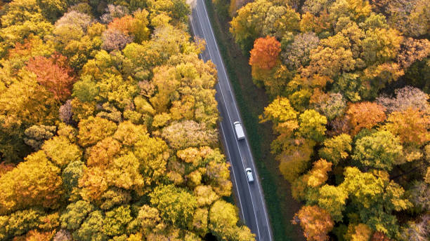 istock View of a vehicles on road leading through the forest 1428932521