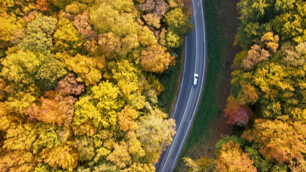 istock Car driving along road 1428933218