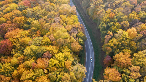 istock Traffic on winding roads 1428933330