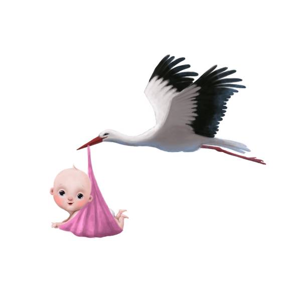 istock flying stork with newborn girl 1428933344