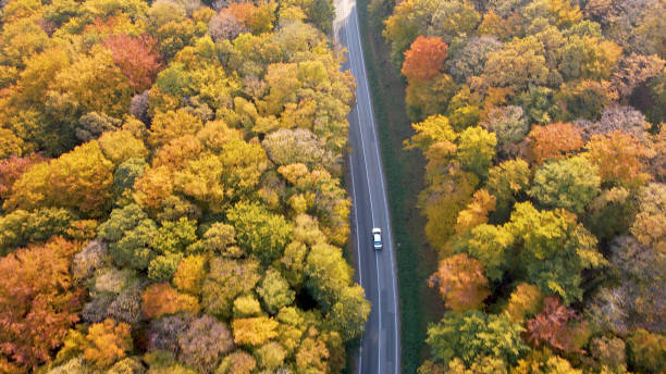 istock Car driving along road 1428933702
