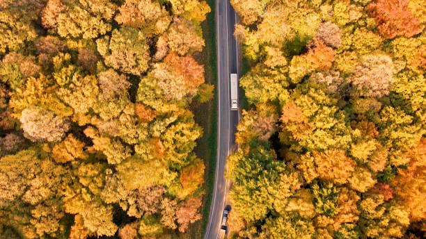 istock Aerial view of bus 1428933703