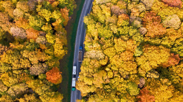 istock Traffic on a country road 1428933864
