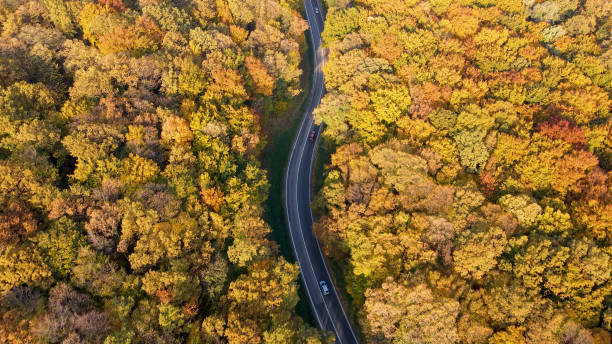 istock Traffic on winding roads 1428933866