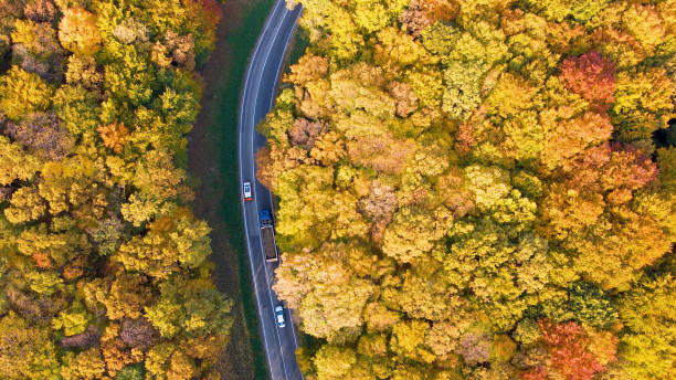 istock Traffic on a country road 1428933867