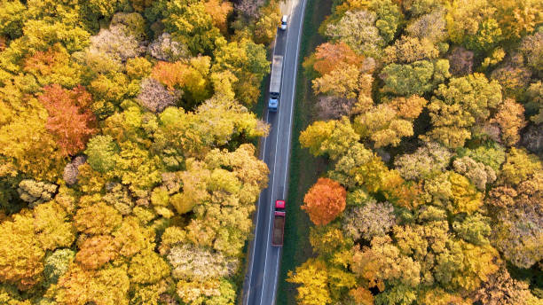 istock Traffic on a country road 1428934056