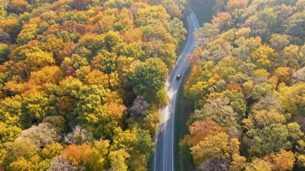 istock Traffic on winding roads 1428934106
