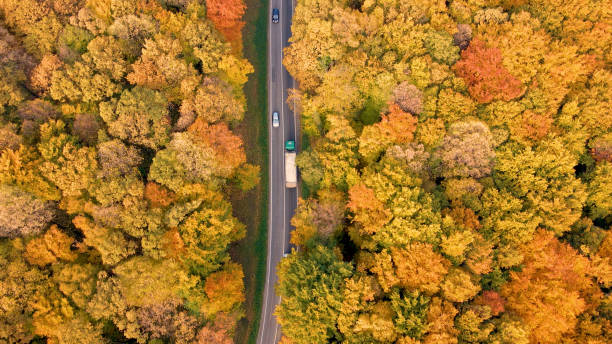 istock Traffic on a country road 1428935560