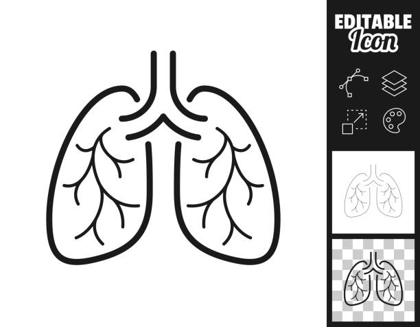 Lungs. Icon for design. Easily editable Icon of "Lungs" for your own design. Three icons with editable stroke included in the bundle: - One black icon on a white background. - One line icon with only a thin black outline in a line art style (you can adjust the stroke weight as you want). - One icon on a blank transparent background (for change background or texture). The layers are named to facilitate your customization. Vector Illustration (EPS file, well layered and grouped). Easy to edit, manipulate, resize or colorize. Vector and Jpeg file of different sizes. allergy medicine stock illustrations